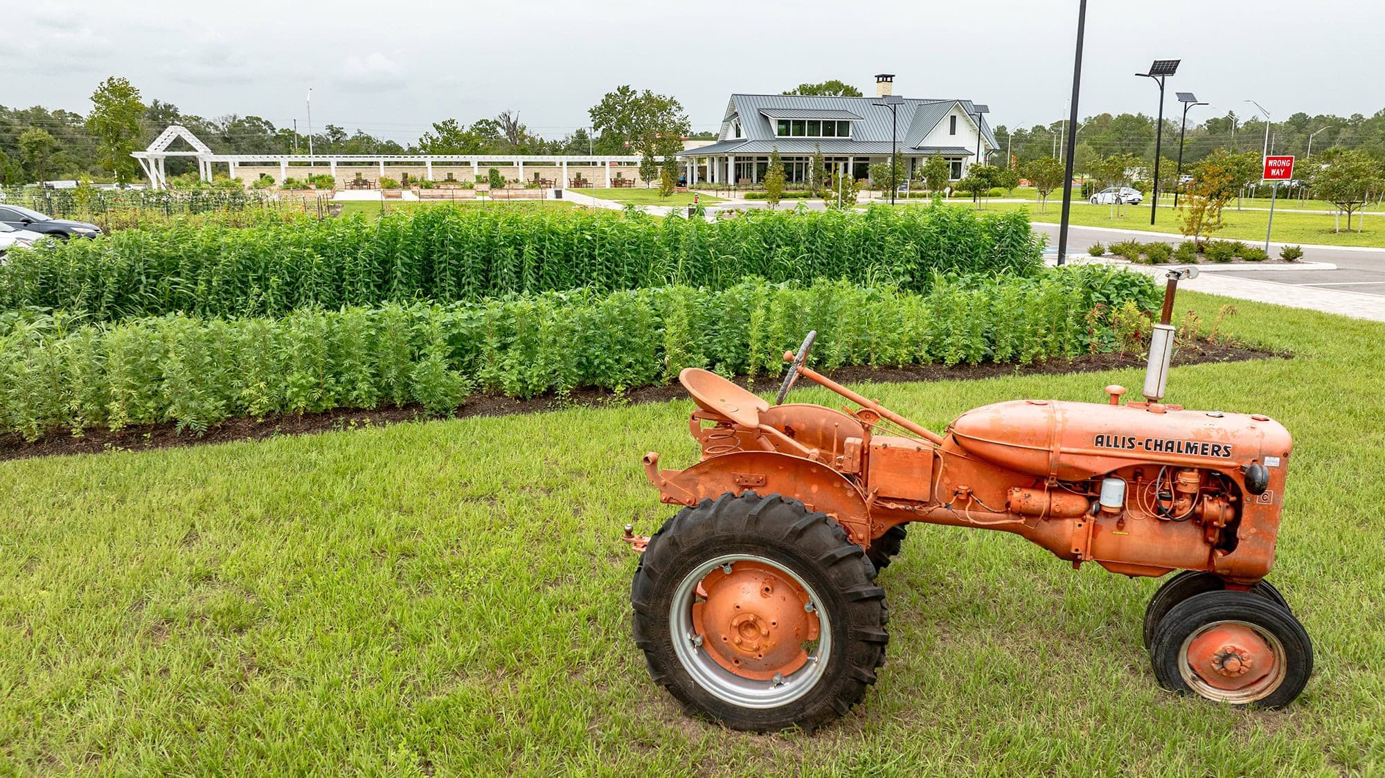 Angeline farm tractor fields