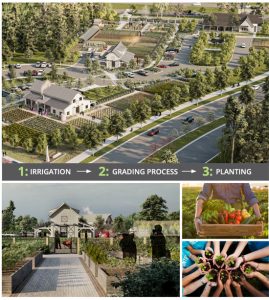 Farm Collage