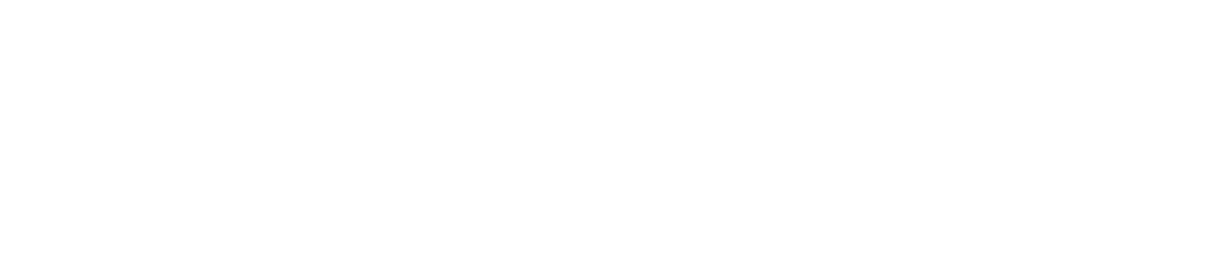 Dream Finders Homes logo