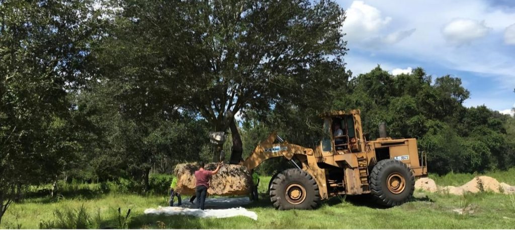 Central Florida Ranching