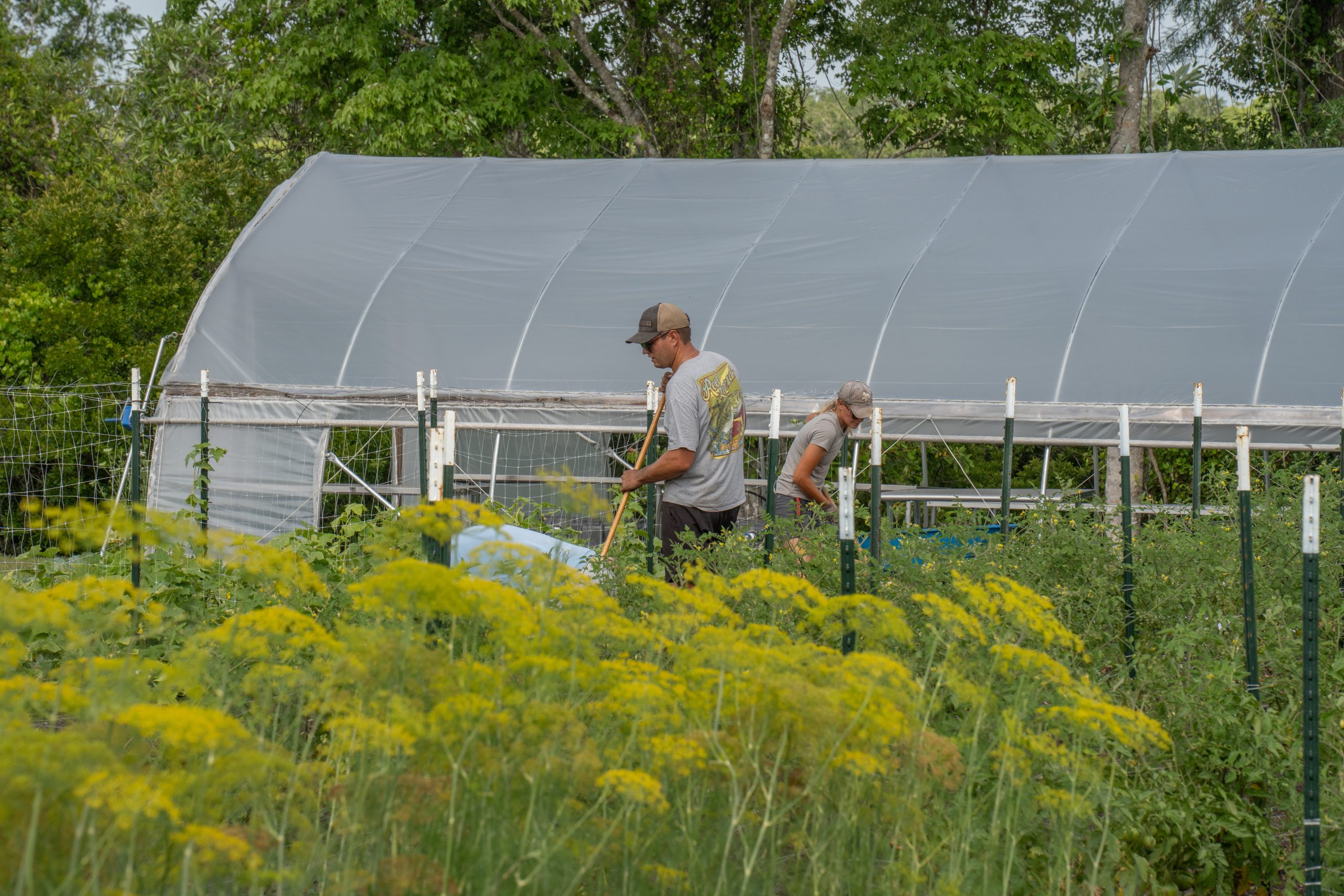 Field and Fork: April 2025