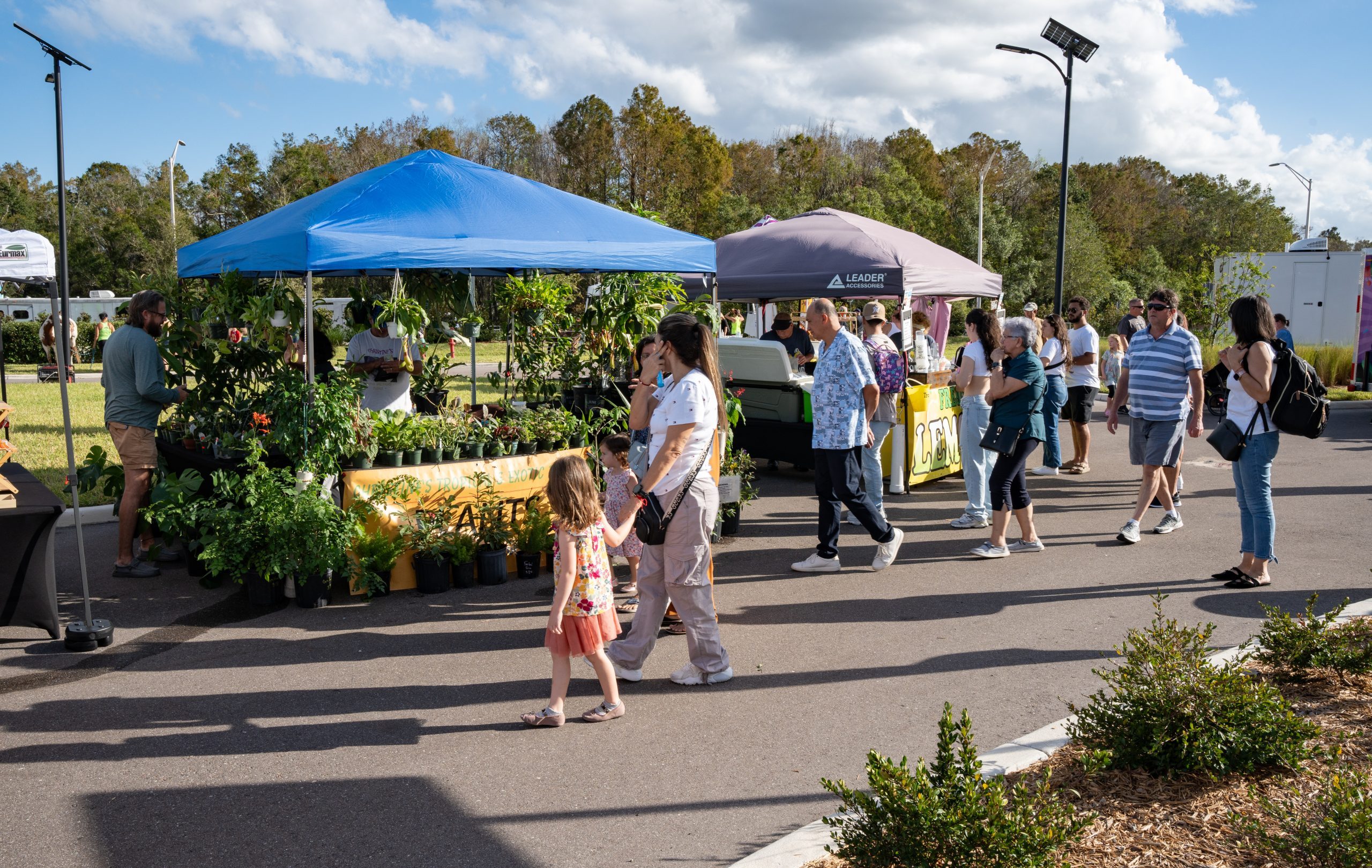 Metro News - Angeline’s Fall Festival Kicks Off Monthly Farmers Markets