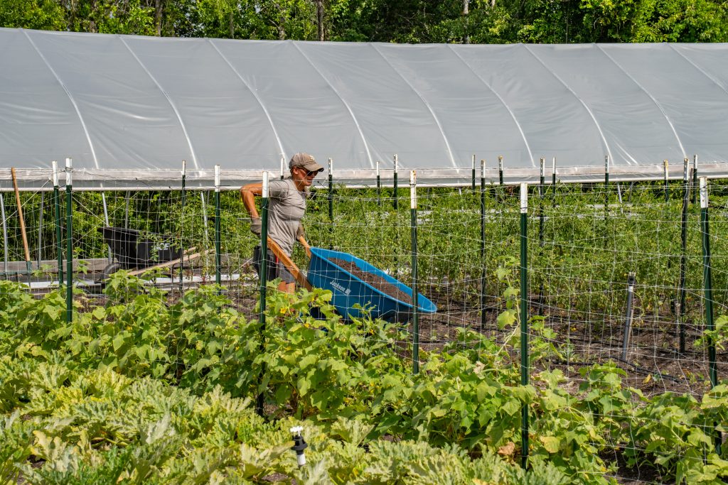 Metro News - Field and Fork: May 2025