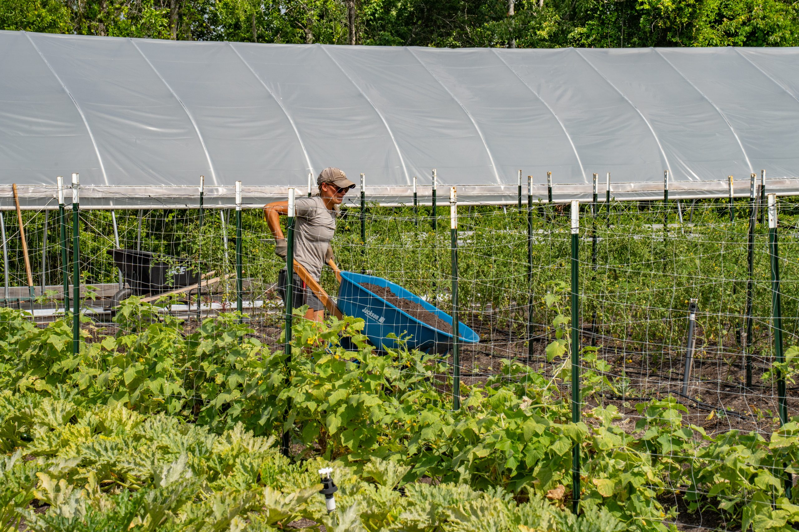 Field and Fork: May 2025