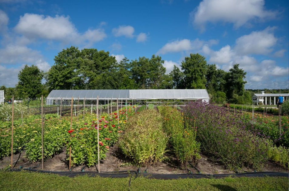 Field and Fork: May 2026